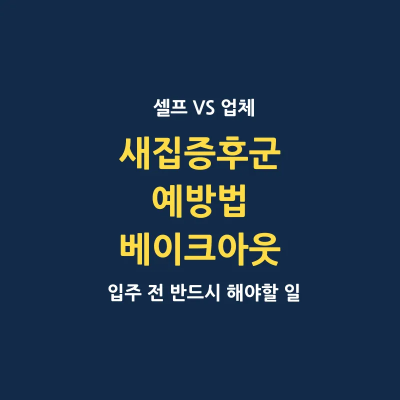 새집 증후군 예방 셀프 베이크아웃 방법