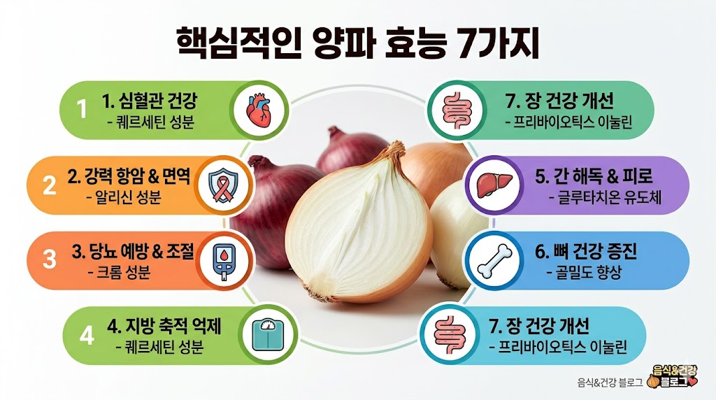양파 효능