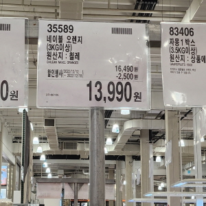 코스트코 광명점 할인