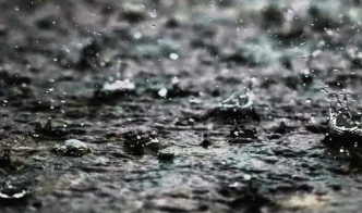 장마철 안부문자 모음집 BEST 100