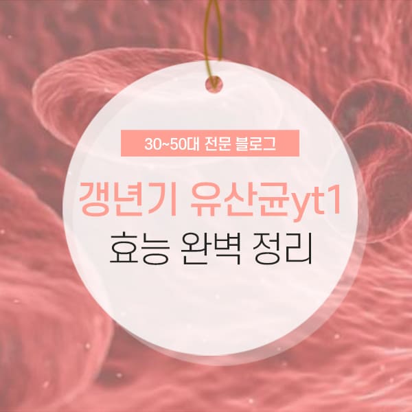 갱년기 유산균 yt1 소개 및 효과