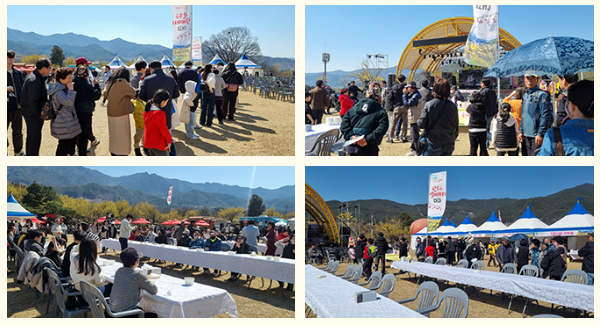 산수유 열매 까기 대회