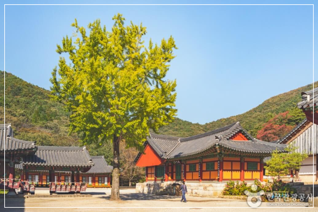 영광 가볼만한곳 베스트10 불갑사