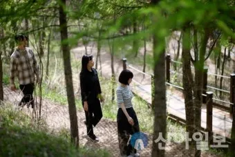 걷기좋은 명품 숲길 30선 숨겨진 코스_25