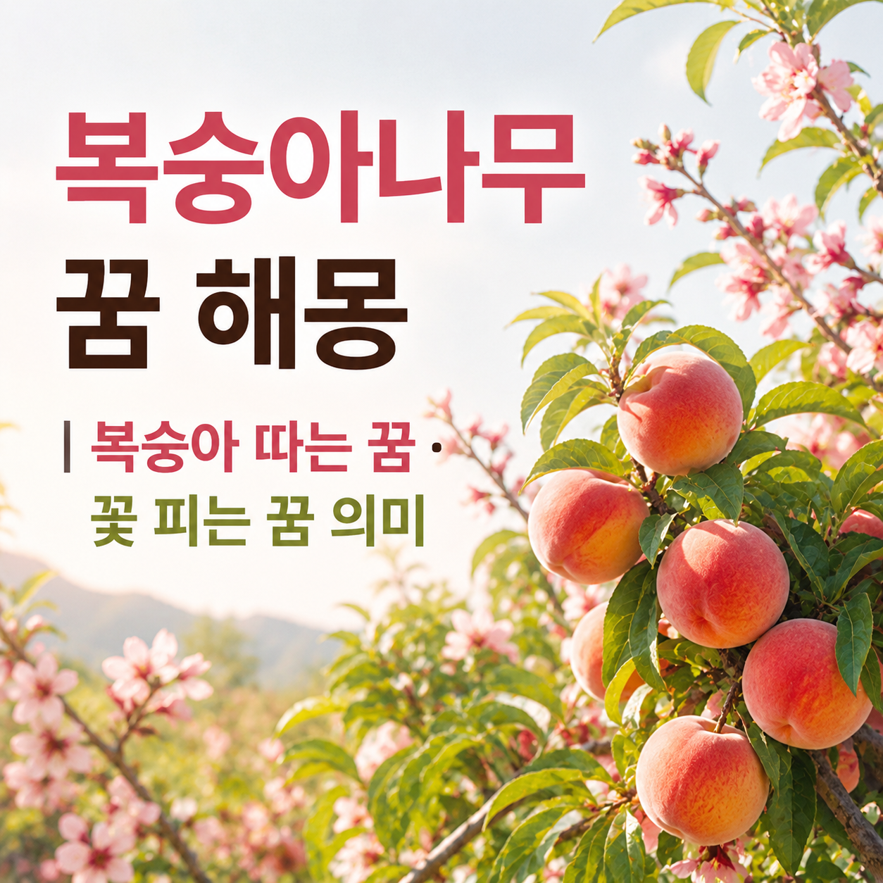 복숭아나무 꿈