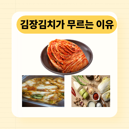김장김치 무르는 이유