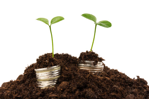 돈을 빨리 모으는 실전 팁