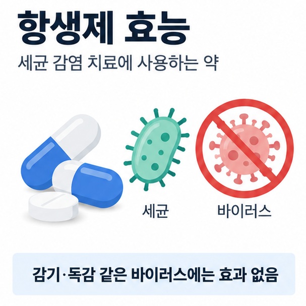 항생제 효능이라는 제목과 세균 모양 아이콘, 항생제 캡슐, 바이러스에는 효과가 없다는 표시를 함께 표현한 대표 이미지