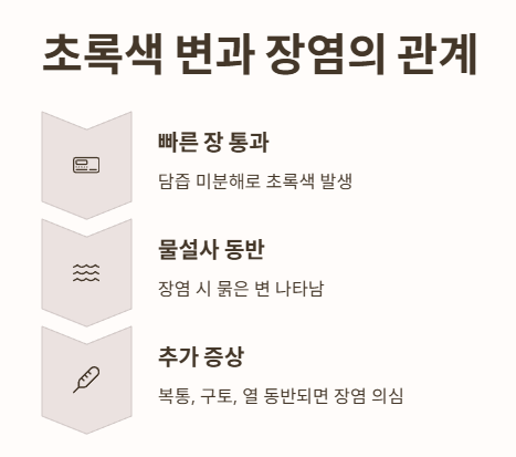 초록색 변과 장염의 관계