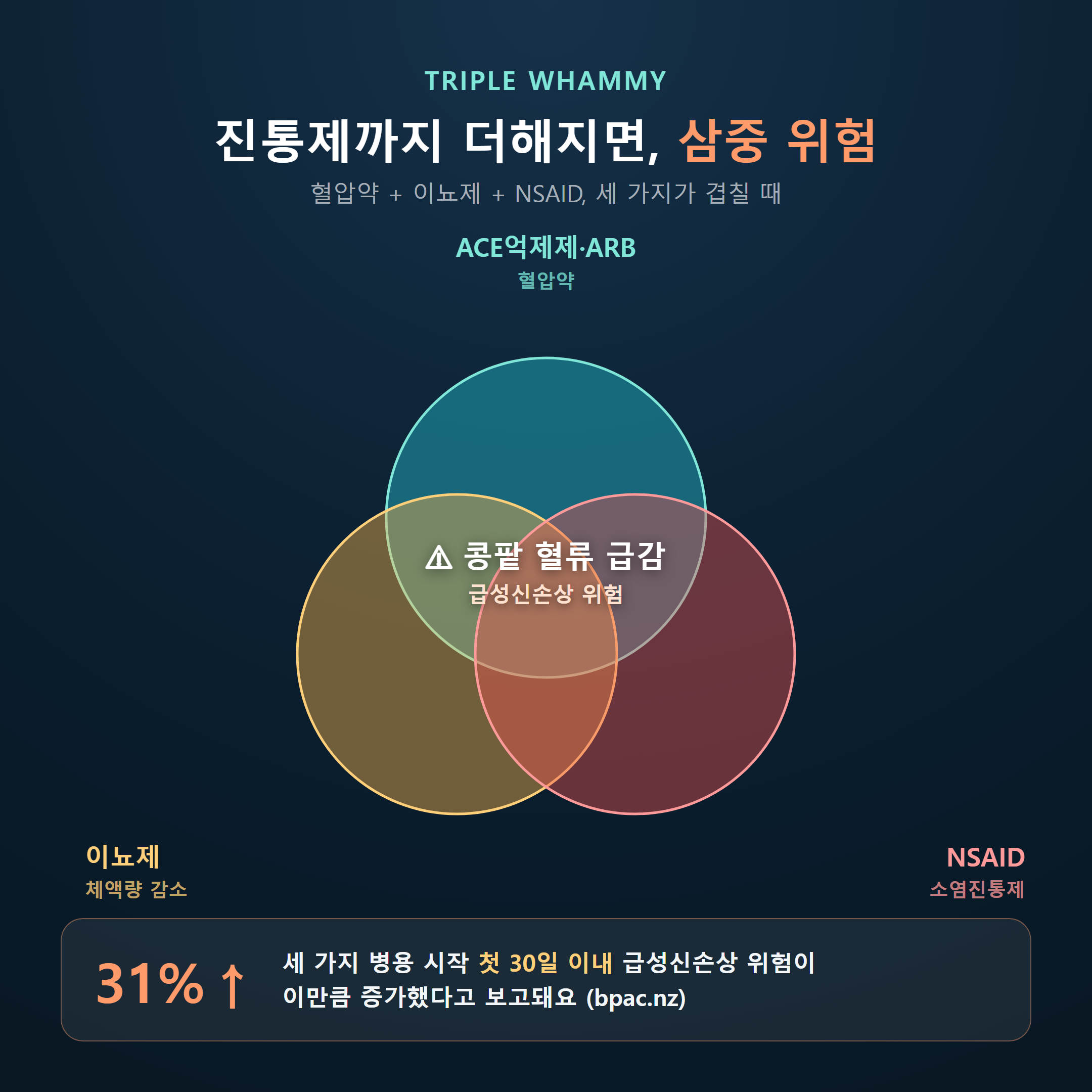 혈압약 삼중 위험(Triple Whammy) 벤다이어그램 - ACE억제제·ARB, 이뇨제, NSAID 진통제가 겹칠 때 급성신손상 위험이 커지는 구조