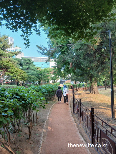 황토길 맨발 걷기를 하며 발바닥 지압 효과와 고지혈증 개선을 경험하는 모습