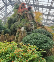 우리꽃식물원 6일간 무료 개방