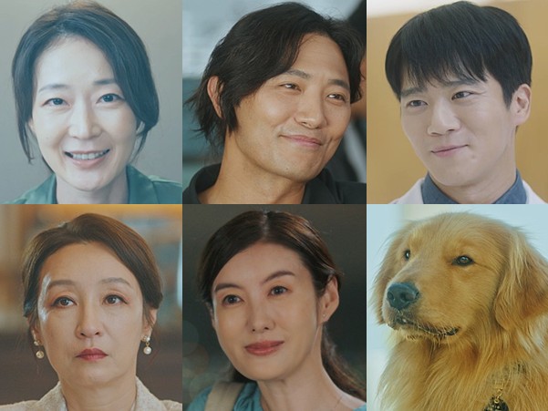 드라마 여행을 대신해 드립니다 재방송 다시보기 출연진 등장인물 김혜화 진구 하석진 남기애 토모사카 리에 지니