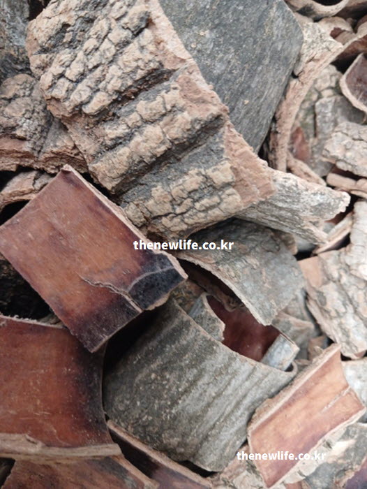 혈관 탄력을 돕는 고혈압에 좋은 음식인 약초 두충 실물 사진