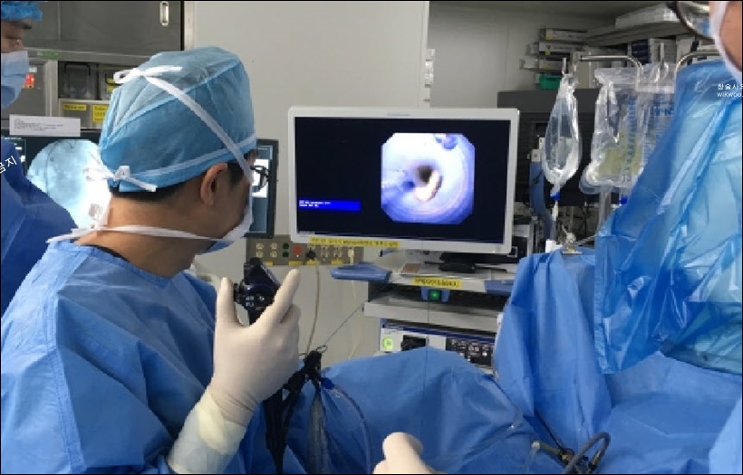 방광 내시경 병원