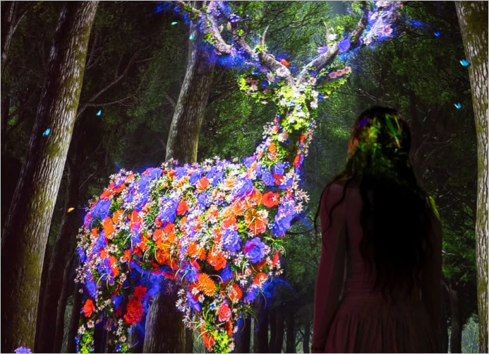 아르떼뮤지엄제주 사진