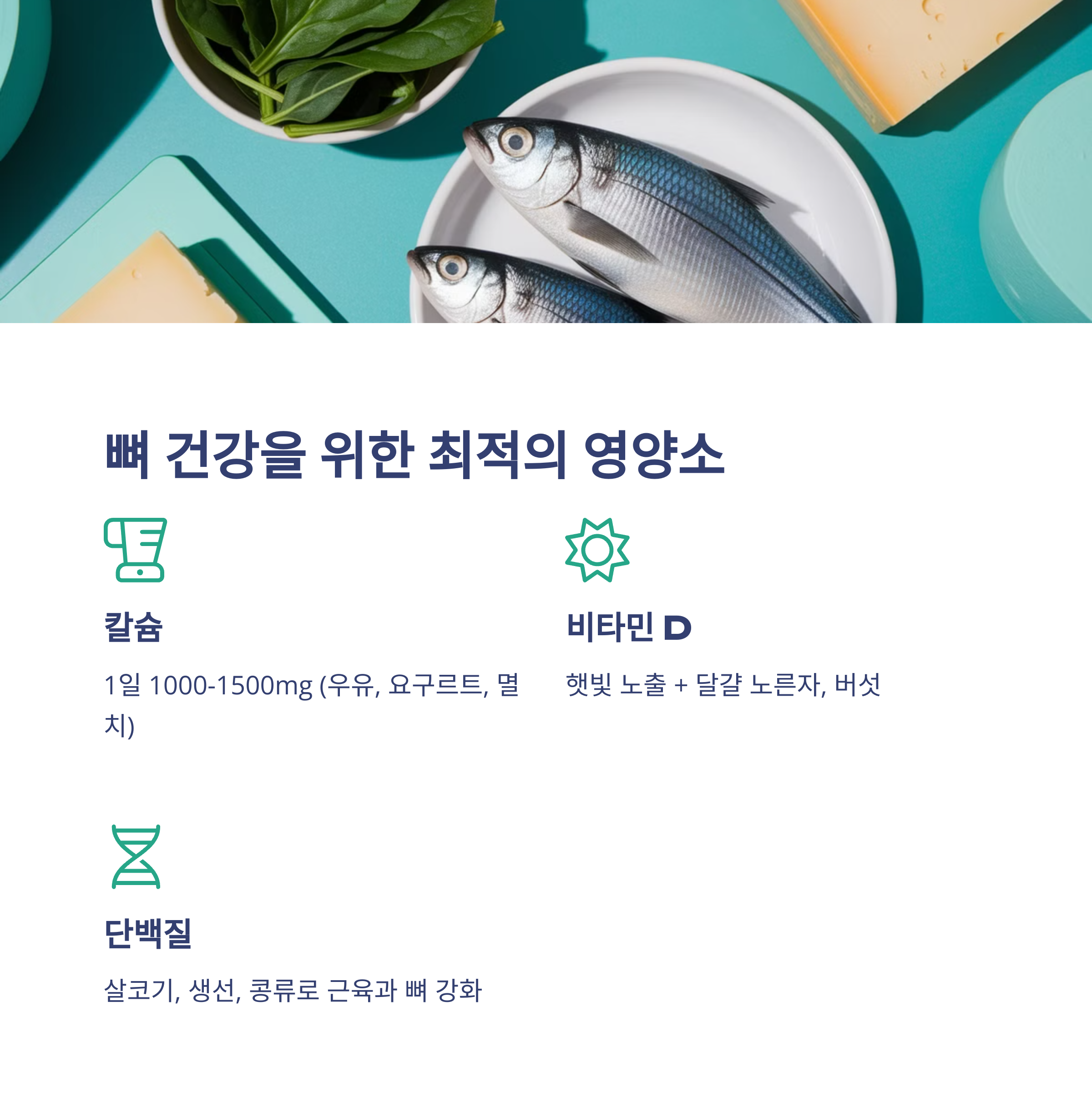 호르몬 뼈 건강 관리 방법