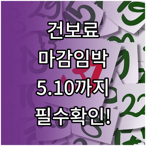 건강보험료 연말정산 납부기한 5월 1..