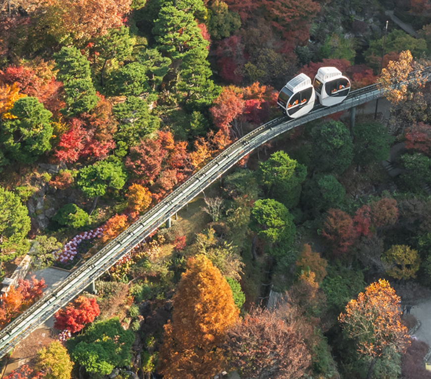 꾸준함이 만드는 환절기 건강