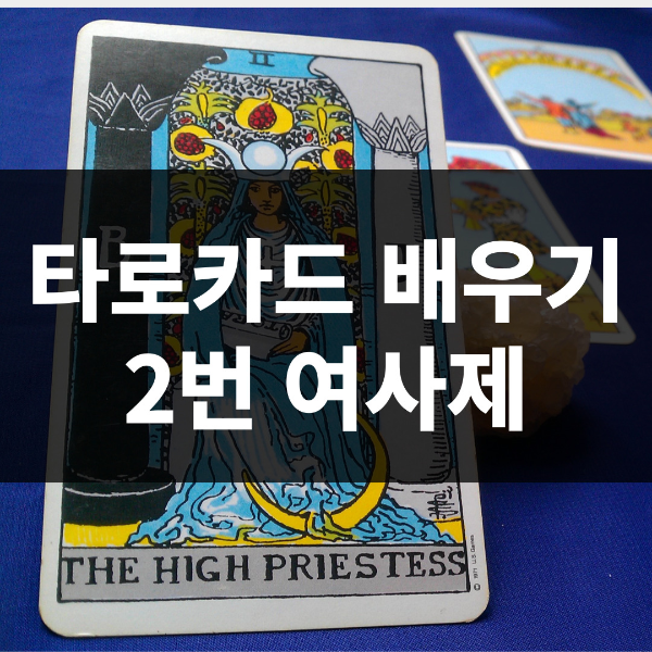 타로카드 배우기