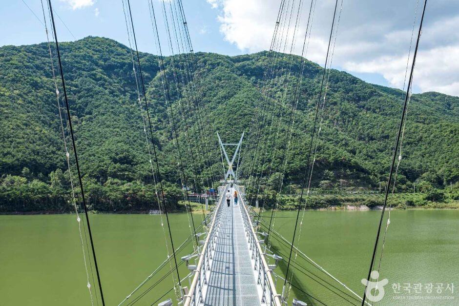 영천 가볼만한곳 베스트 10