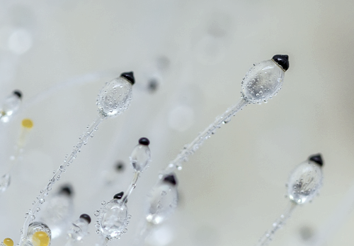 습기로-발생된-곰팡이-자동차-에어컨