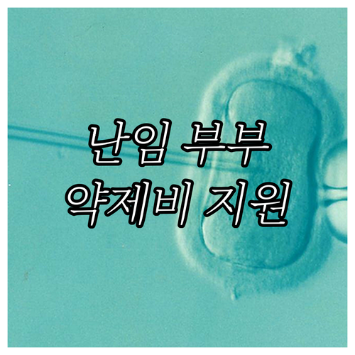 2025 수원시 난임 부부 희소식! ..