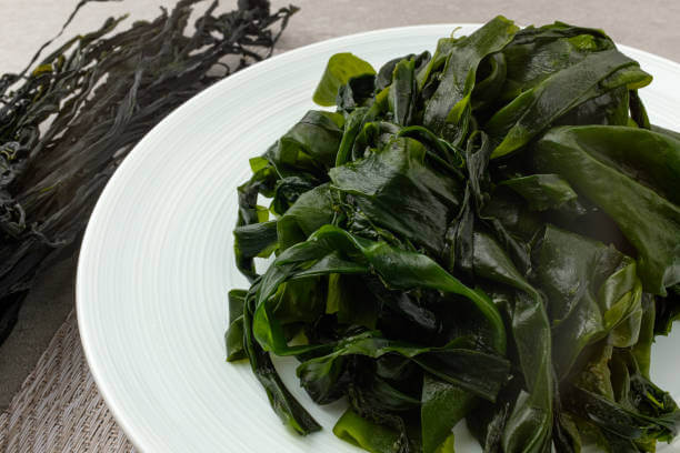 다시마 효능 및 부작용과 요리 방법 