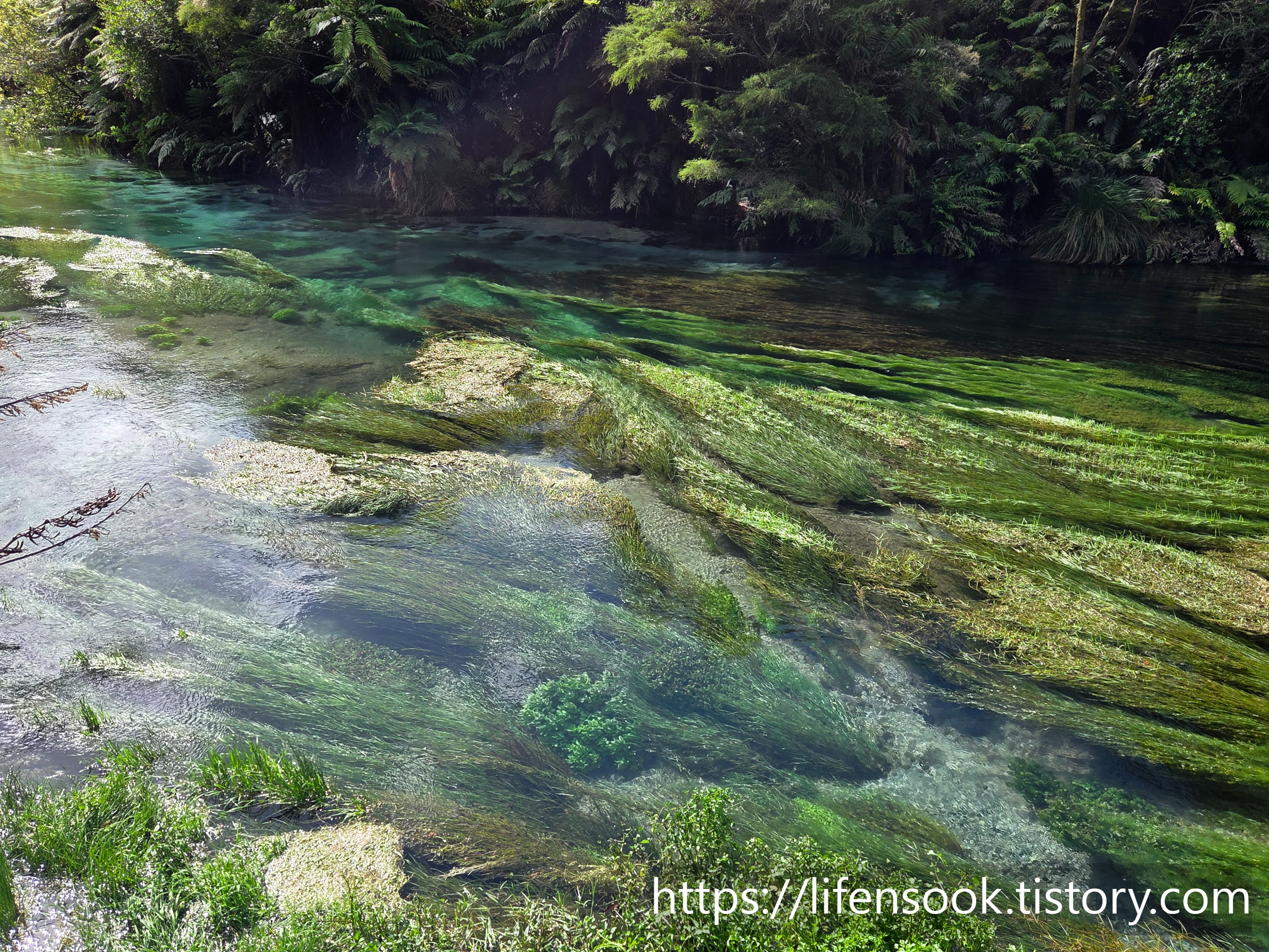 블루 스프링 워크웨이 8