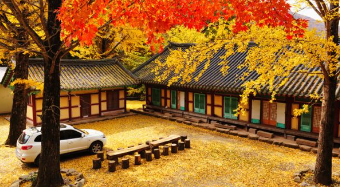 2025 두륜산 단풍 절정 시기 공개! 가을 인기 등산코스 best 3