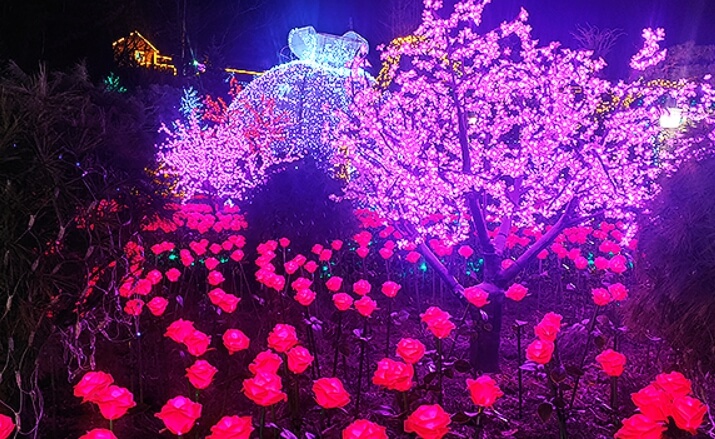 허브아일랜드 불빛동화축제