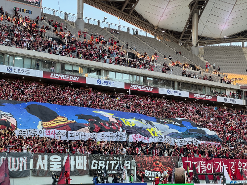 fc서울서포터즈