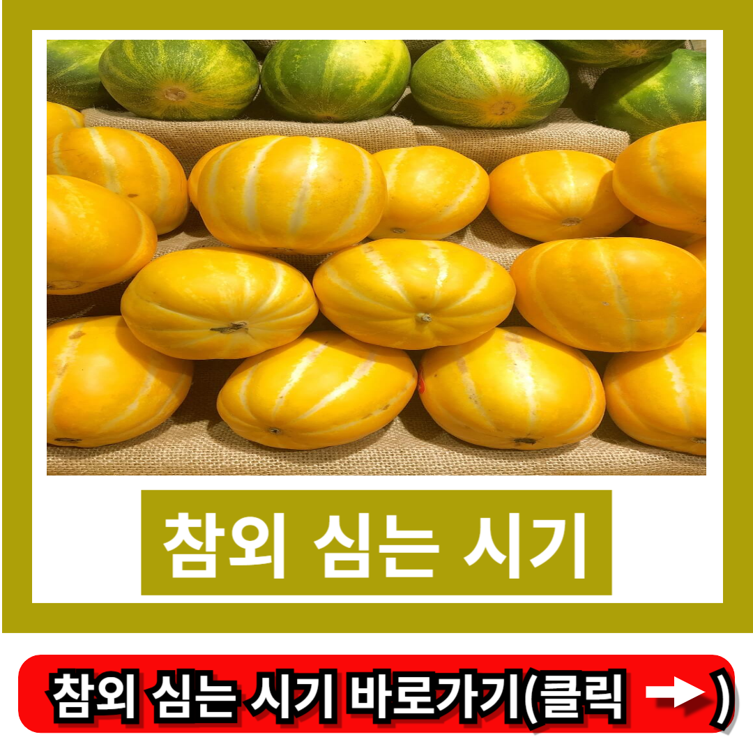 참외 심는 시기