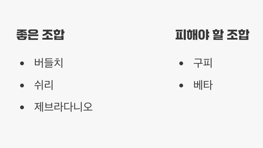 함께하면 좋은 '계곡 친구들'