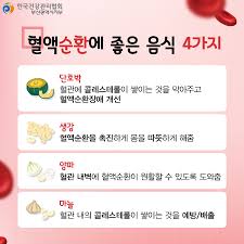 혈액순환에 좋은 음식