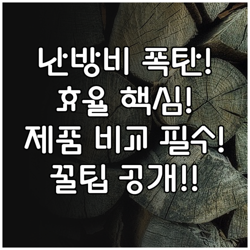 전력 효율 비교 가장 경제적인 난방 ..
