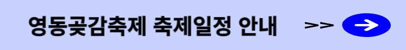 축제일정 안내