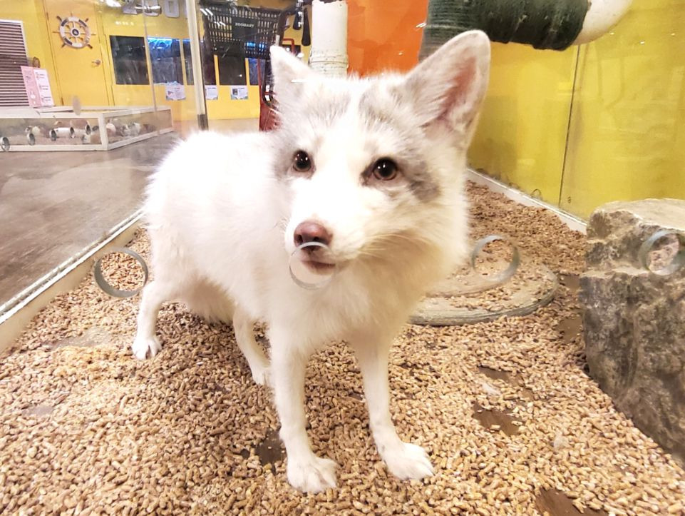 쥬라리움 청라점