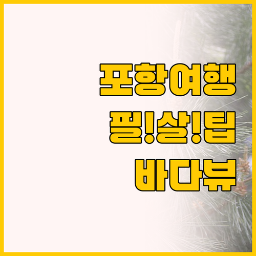 가성비 호텔부터 바다뷰까지, 포항 가..
