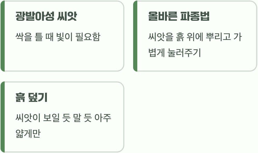 흙과 씨앗의 아주 특별한 첫 만남