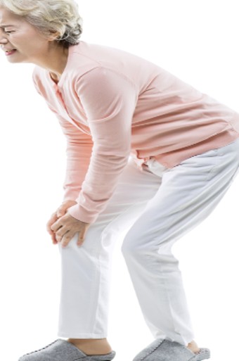 무릎관절에 좋은 영양제