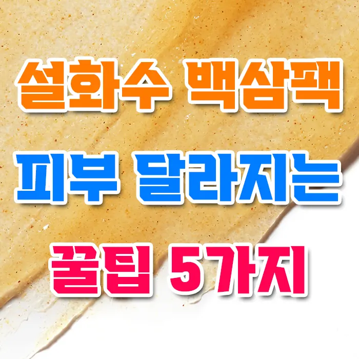 설화수 백삼팩 피부 달라지는 꿀팁 5가지