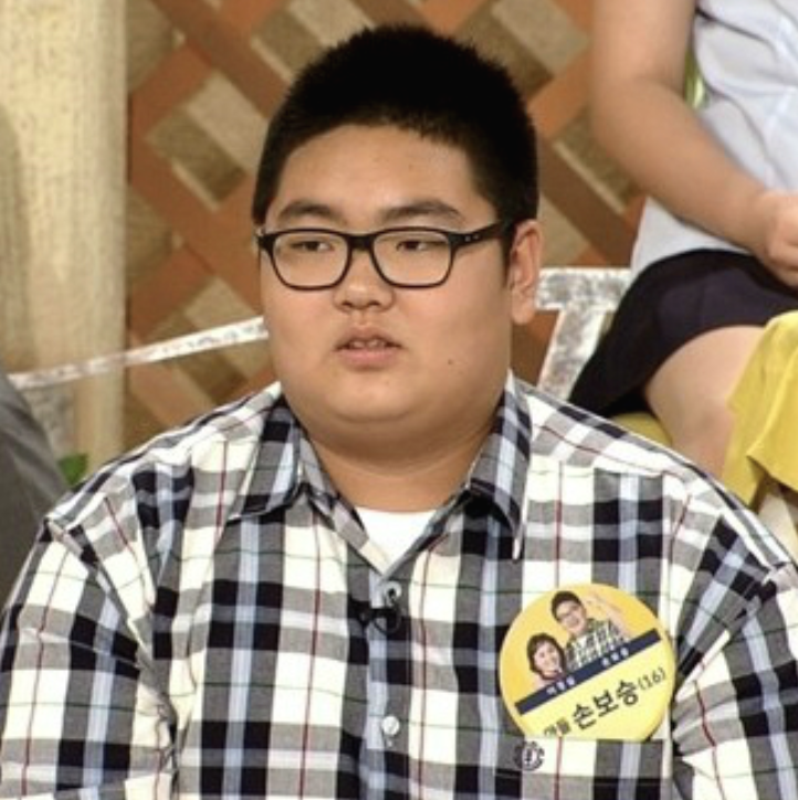 손보승 예능