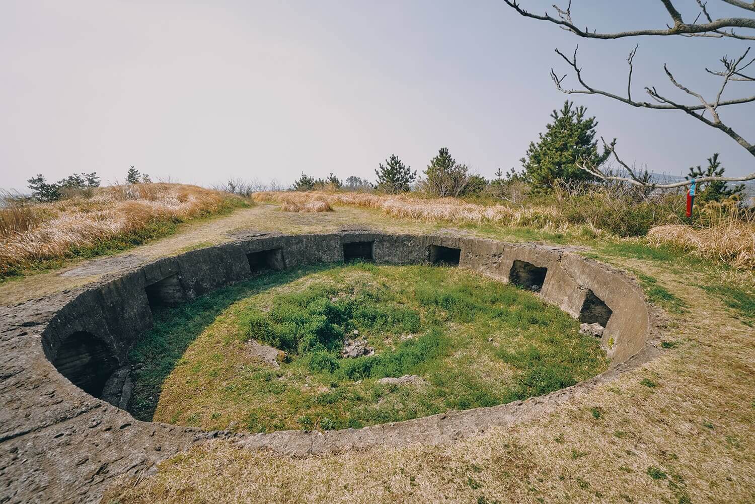 올레길 7코스 vs 10코스, 최고의 선택은? 🥾