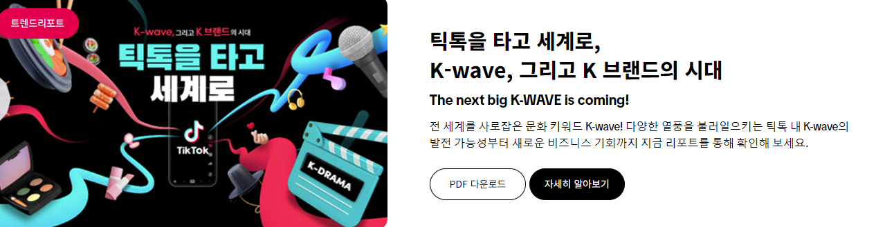 틱톡 글로벌 성공 사례