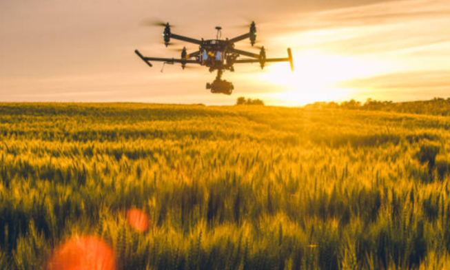 드론 항공 사진