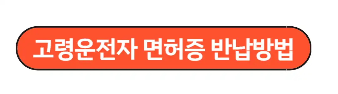 고령운전자 면허증 반납방법