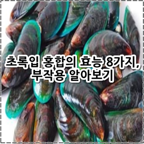 초록입 홍합의 효능 8가지, 부작용 알아보기