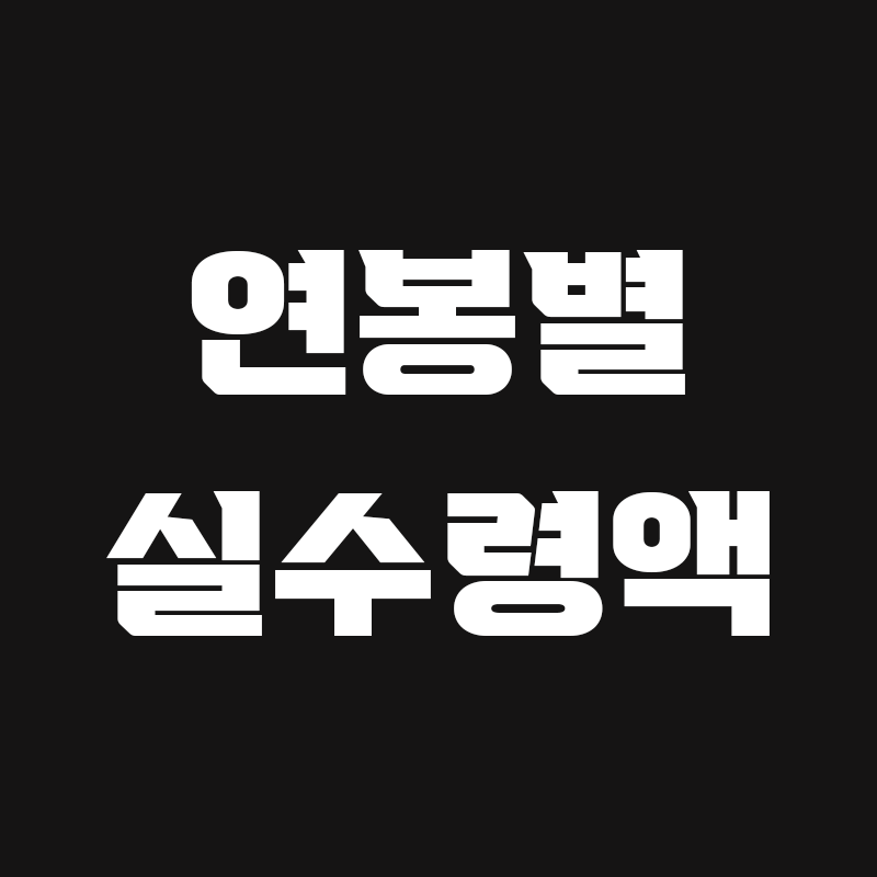연봉별 실수령액 안내 블로그 포스팅글 썸네일