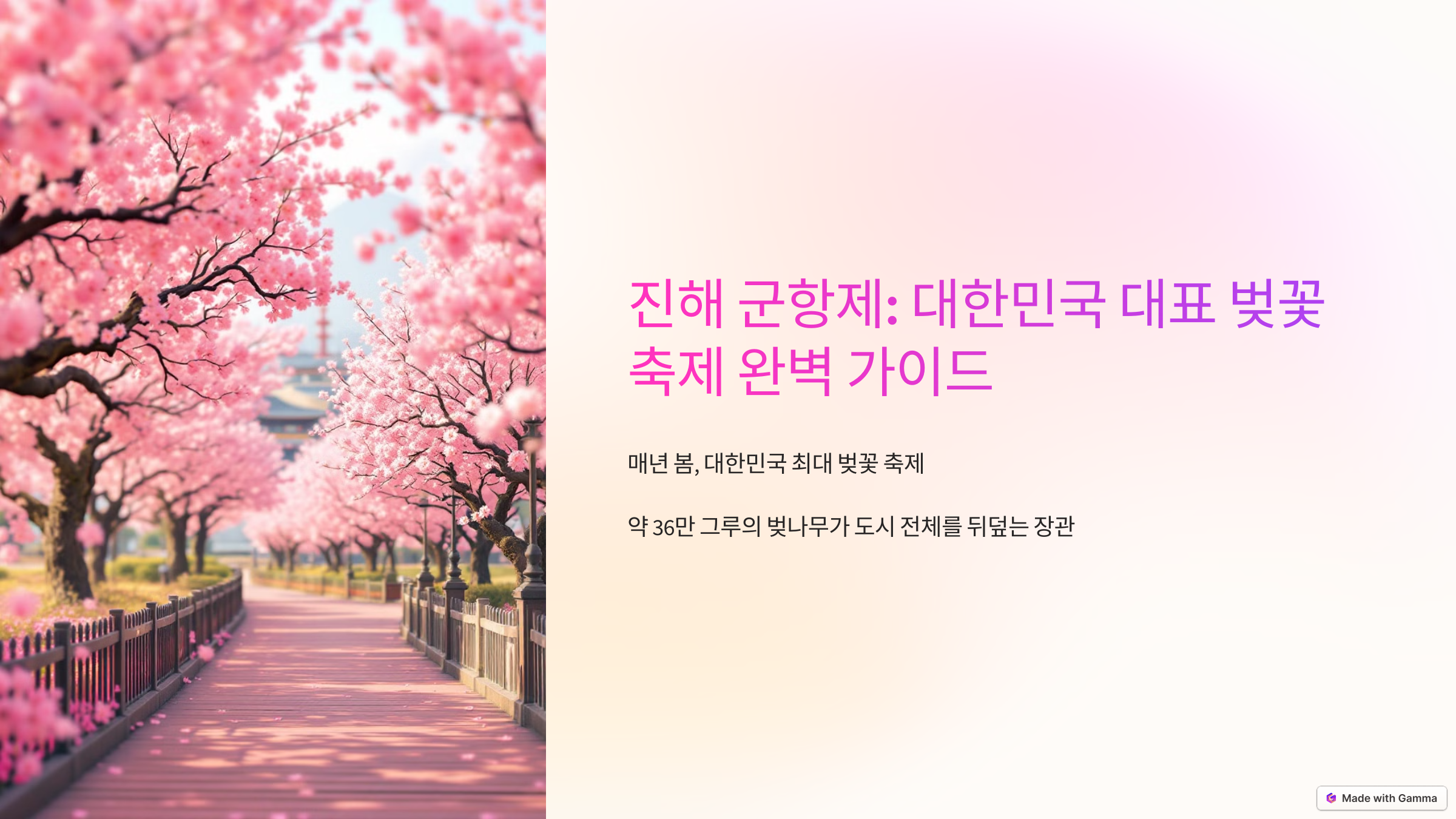 진해 군항제: 대한민국 대표 벚꽃 축제 완벽 가이드